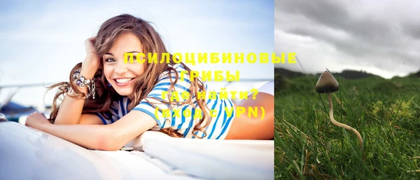 соль курить ск Вязьма