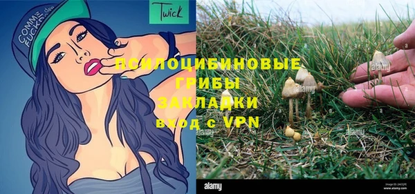 соль курить ск Вязьма