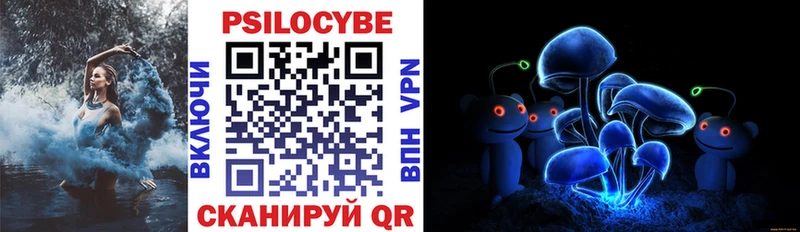 Купить где  Александровск-Сахалинский  Псилоцибиновые грибы Psilocybe 